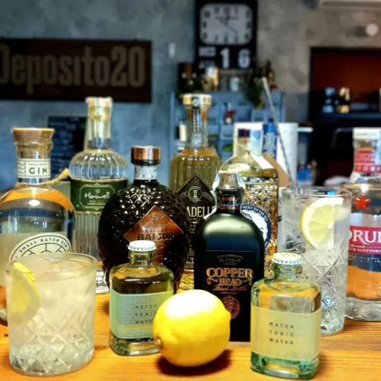 Bottiglie di gin con limoni e ghiaccio