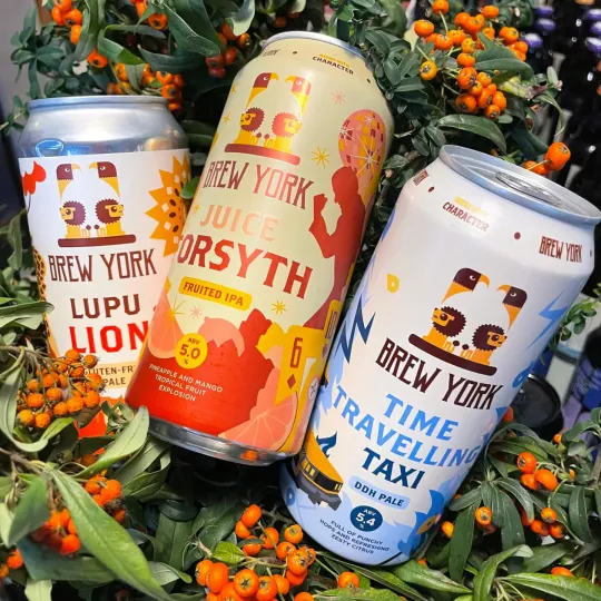 Lattine di birra tra bacche arancioni
